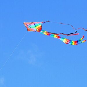 500px-Cerf-volant_2667_2